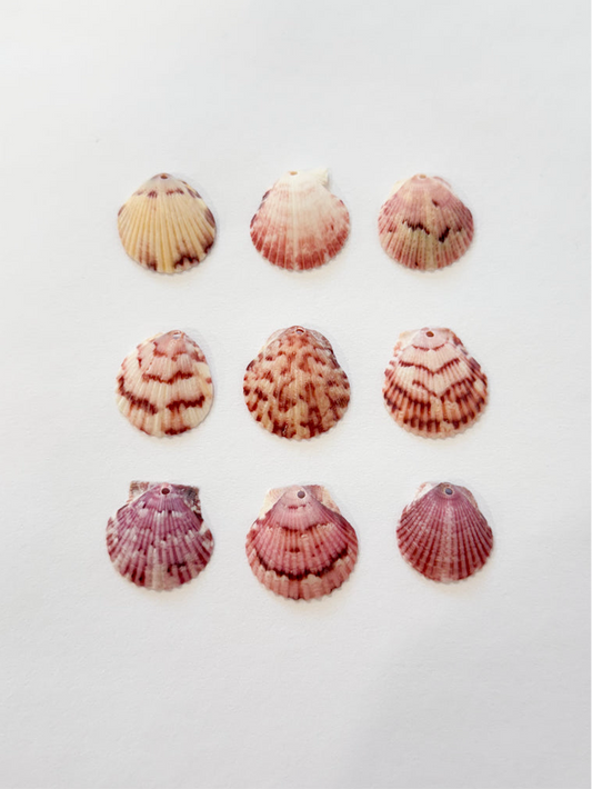 Pink / purple natural shells