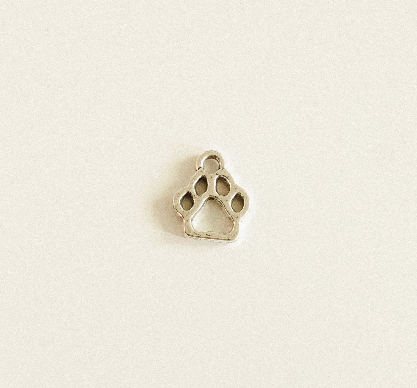 Silver hollow dog paw
