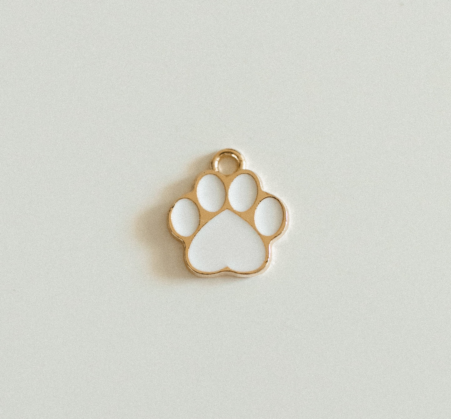 Gold white dog paw