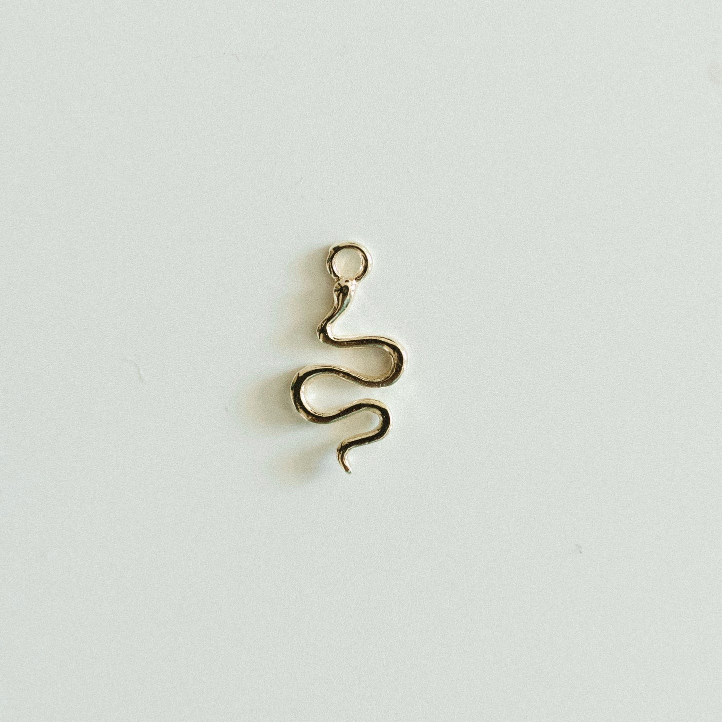 Small gold snake
